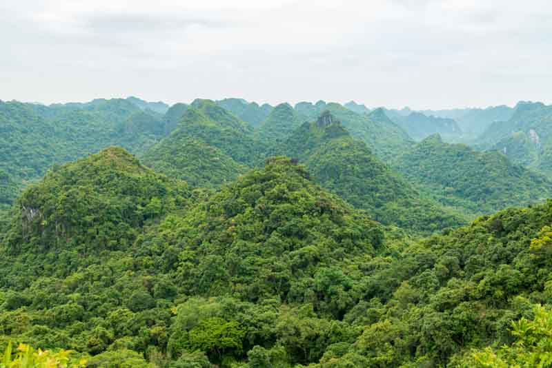 parque nacional de cat ba vietnam
