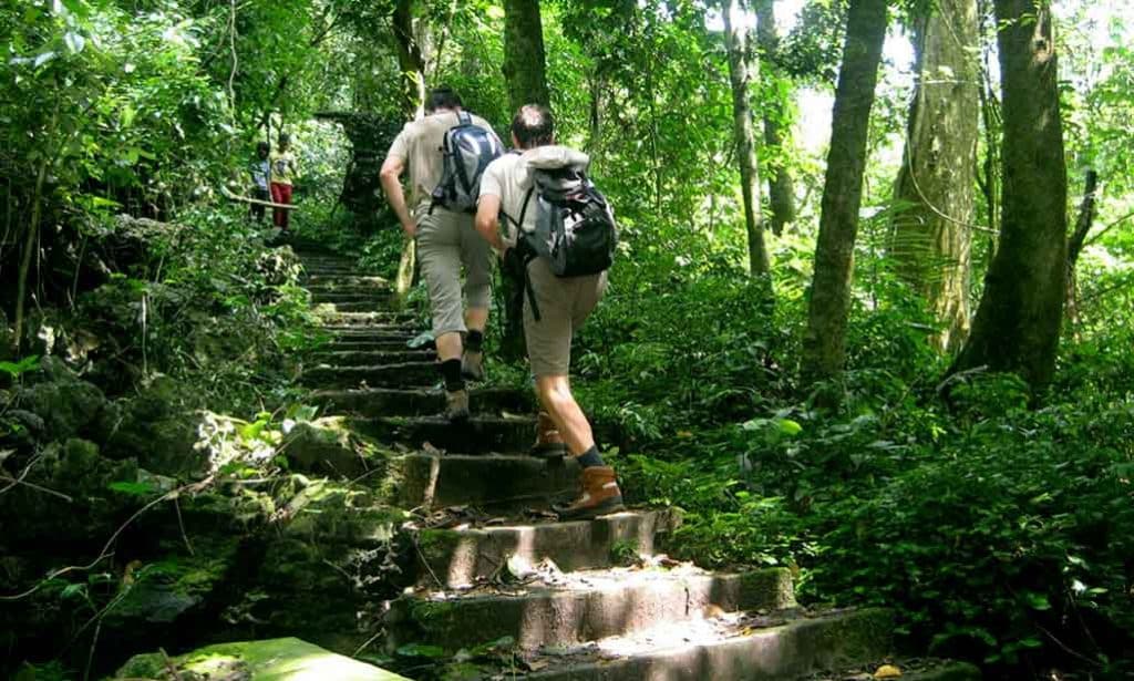 parue nacional de cuc phuon en ninh binh vietnam