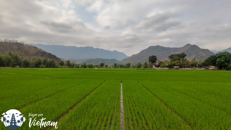 arrozales de mai chau