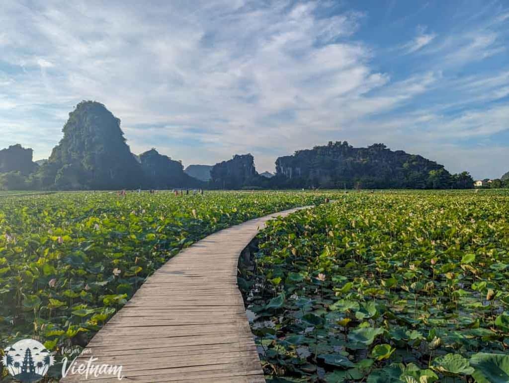 ninh binh que ver tam coc