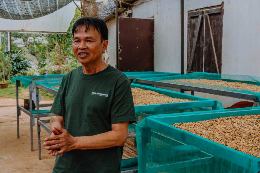 son pacamara plantacion cafe en dalat, vietnam