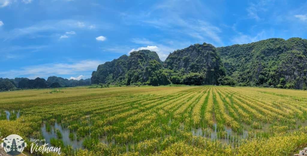 paisaje de ninh binh vietnam