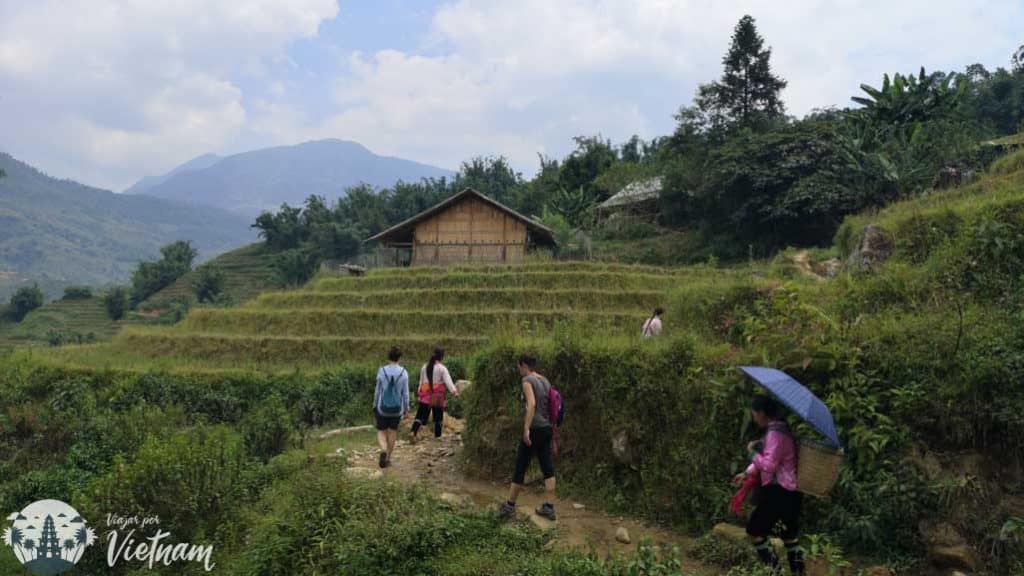 trekking en sapa vietnam