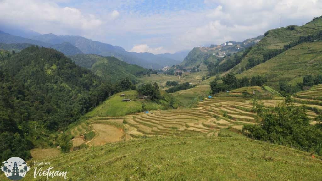 arrozales en el trekking de sapa vietnam