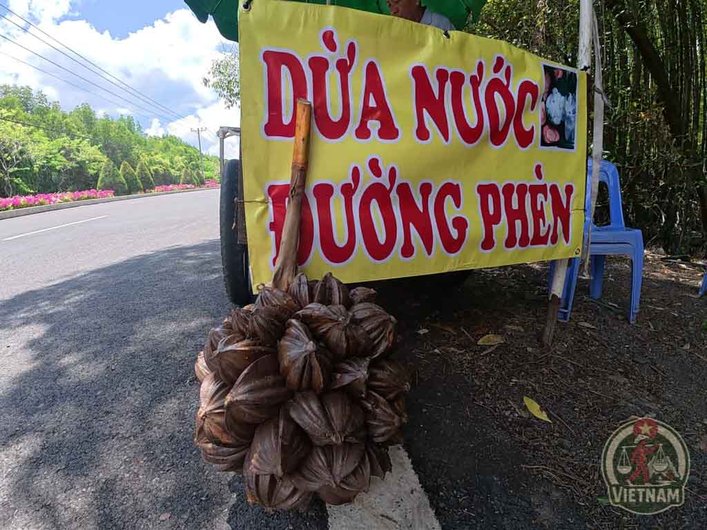 Coco de agua en Can Gio, Vietnam