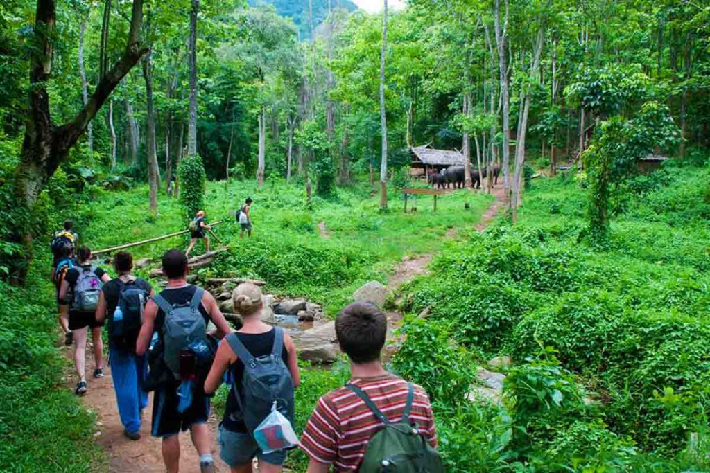 senderismo en el parque nacional de cuc phuong