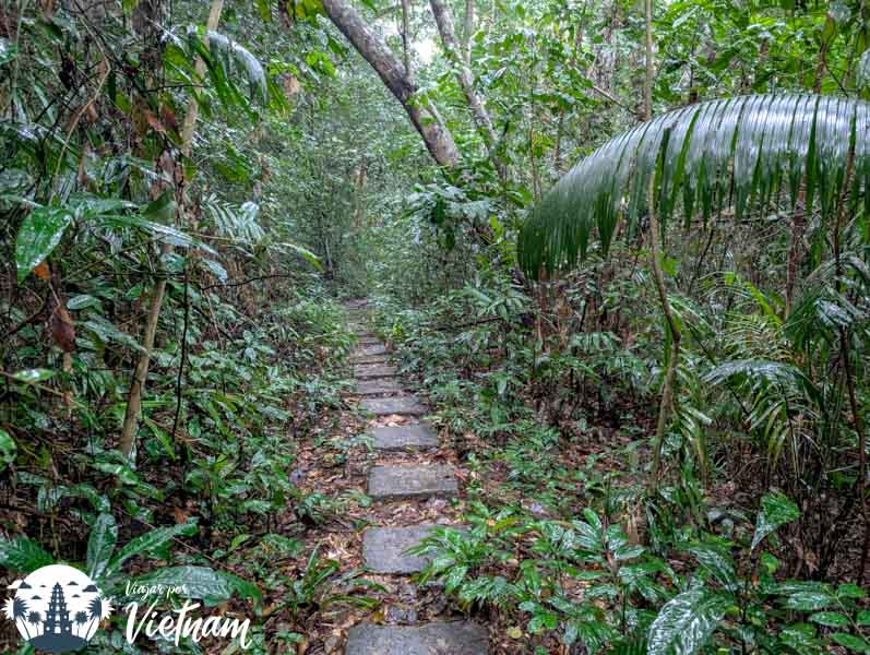 jardin botanico de phong nha